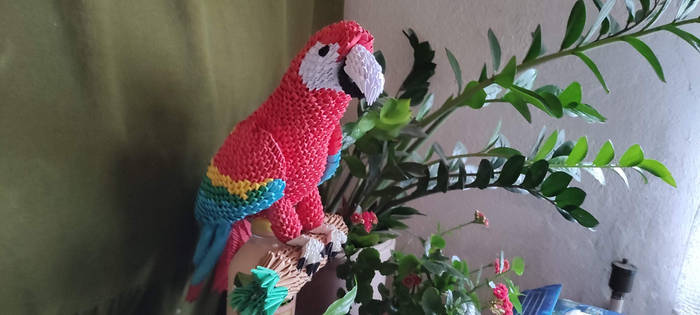 Parrot