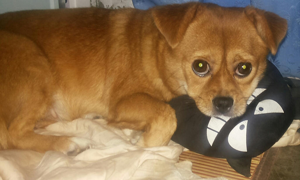 MoMo and her toy