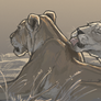 Grooming