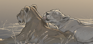 Grooming