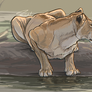 By The Waterhole