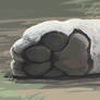 The Tiger Paw