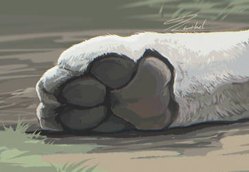Explore the Best Paw Art | DeviantArt