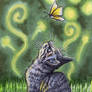 Wonder ACEO