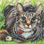 Love Pudding ACEO