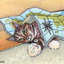 A Little Cat Map