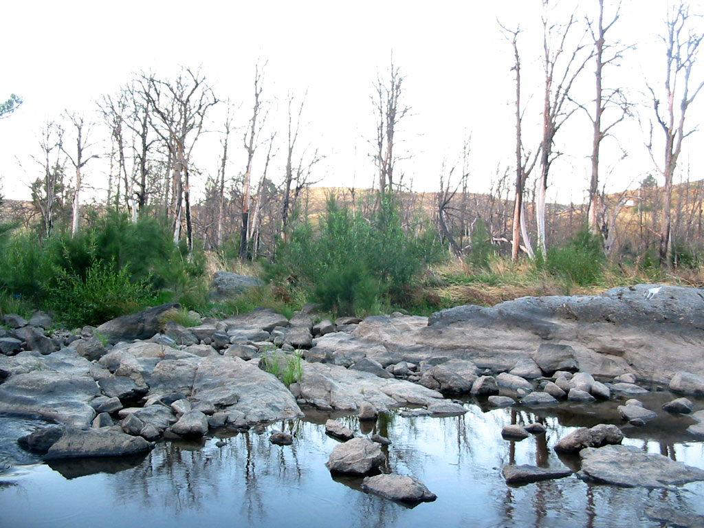 Creek Crossing