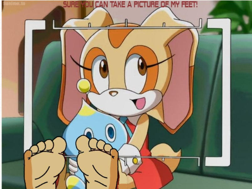 Taking a Picture of a cute rabbits feet by therearenorules863 on DeviantArt