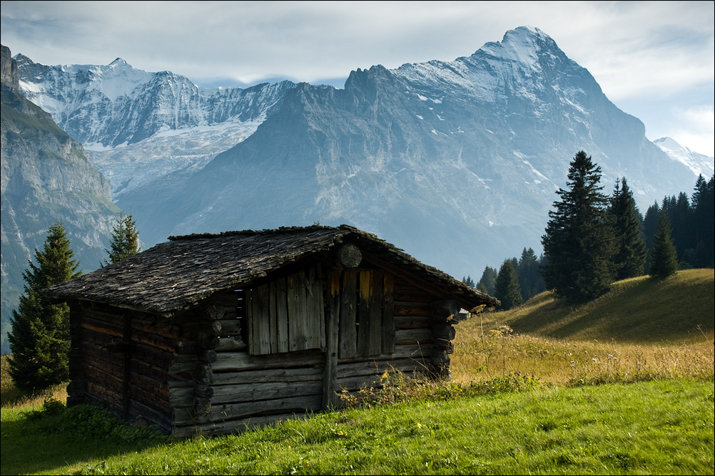 Lonely Cottage 2