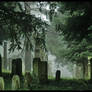 Jewish Graveyard II