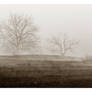 .misty Morning III