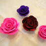 Mini Roses