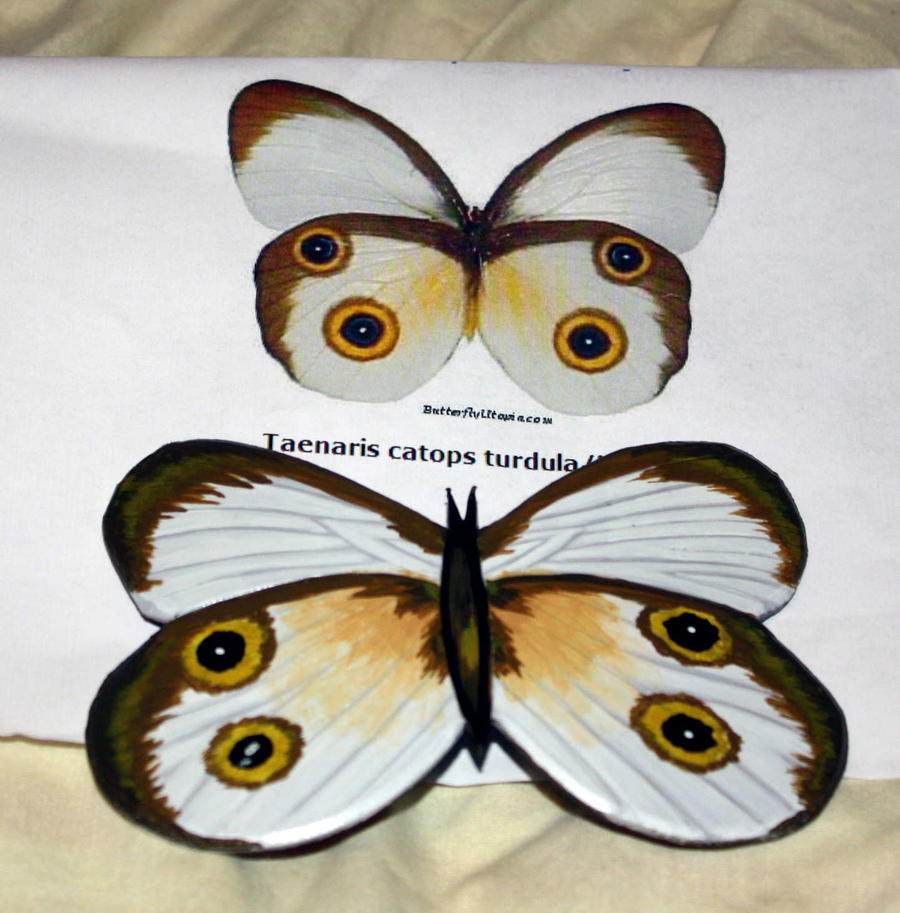 Kajuna Butterfly Hair Piece 2