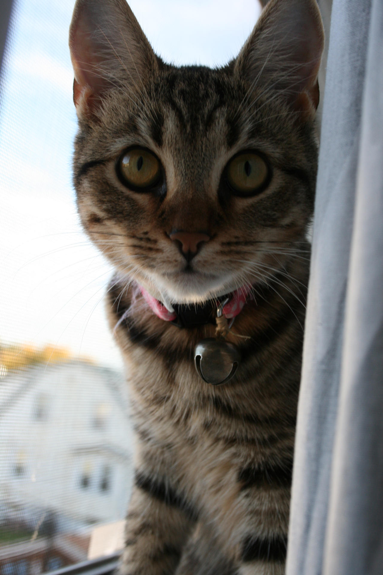 Riley - 3 by Keriboo on DeviantArt