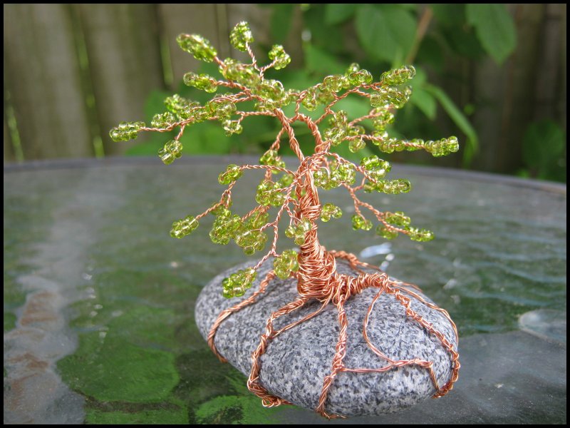 Green Bonsai