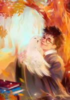 Harry and Hedwig