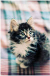 _Casper by thephotogenesis