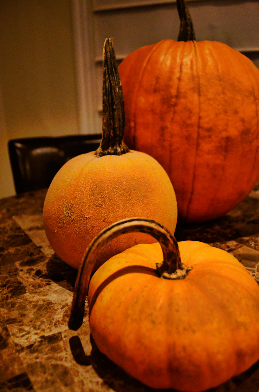 Pumpkin lineup