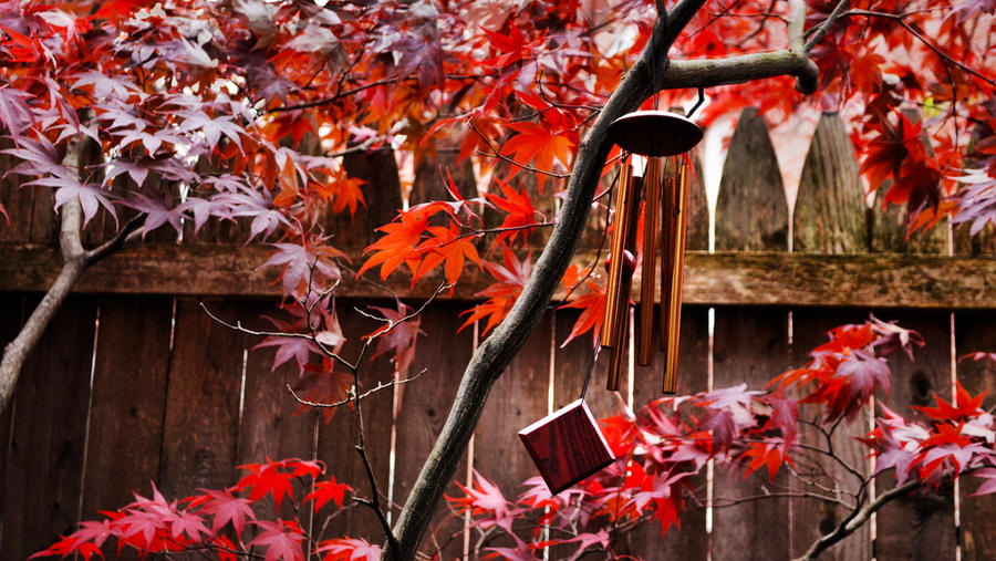 Blustery autumn wind