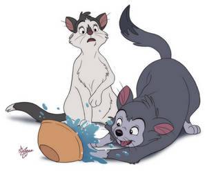 Chip and Yuki the Water Bowl Cats