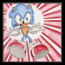 .: Sonic Facing Danger :.