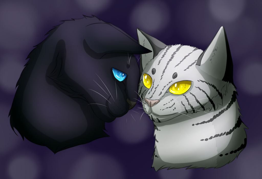Stormtail Moonflower and Stormtail from 'Warriors' by HEllRas on DeviantArt