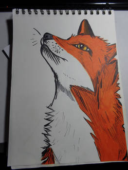 the fox