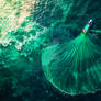 Aerial Fishing Boat Ocean.