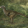1978 Saurornitholestes langstoni (Dromaeosauridae)
