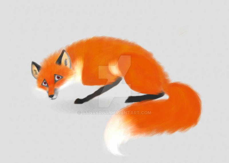 Scared Fox by AnnaKriss on DeviantArt