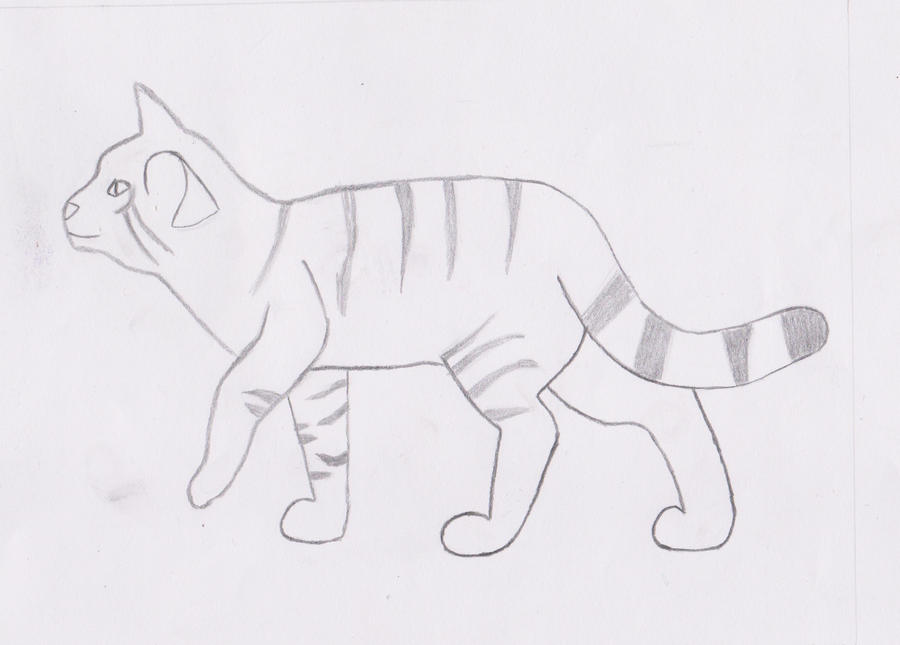 Art class drawing: Kitteh sketch :)