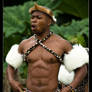 Zulu warrior