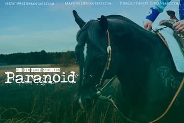 Paranoid Horse - PB