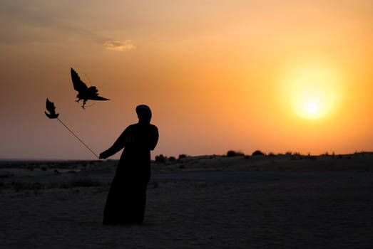 Eagle show