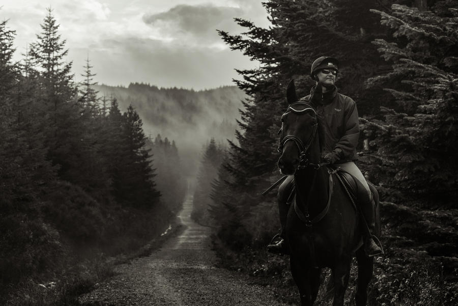 A rider in Ticknock Forest