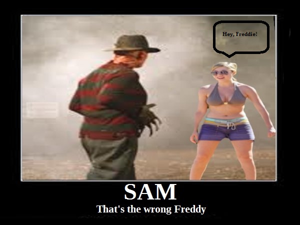 Sam and Freddy 1