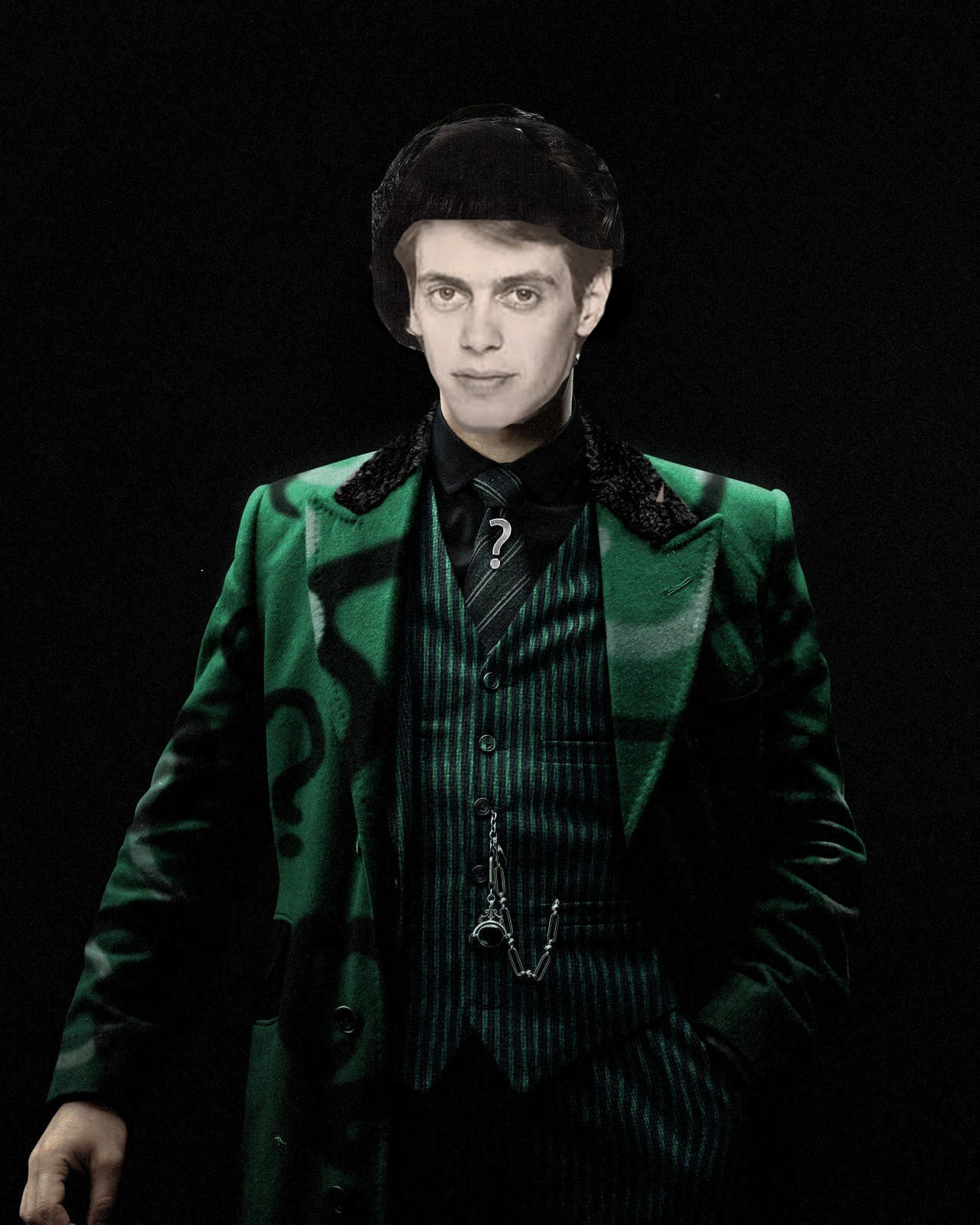 Steve Buscemi Riddler Steve Buscemi as Riddler by SteveIrwinFan96 on DeviantArt