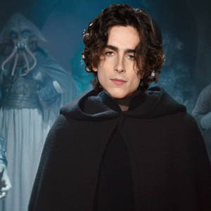 Timothe Chalamet as Luke Skywalker