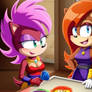 Sally Acorn and Sonia the Hedgehog