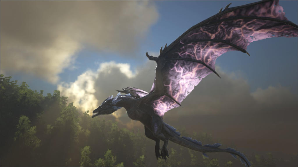 Wyvern flying through the sky by NicCF on DeviantArt