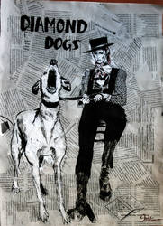 Bowie, Papers and... Dogs