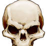 Skull3