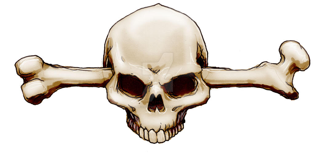 Skull4 by hellsentinel on DeviantArt