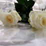 Wedding Roses