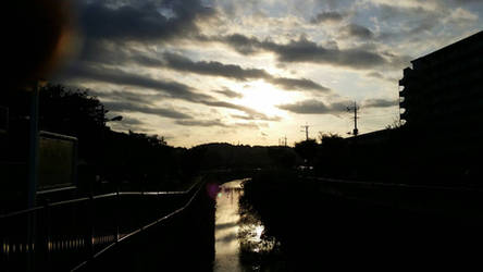 Tamagawa Walk