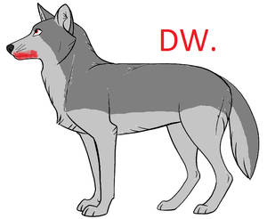 Gray Wolf first 1  I made