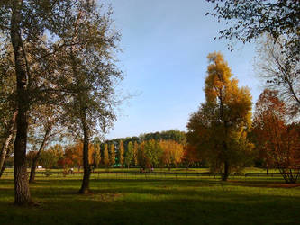 Colours of autumn