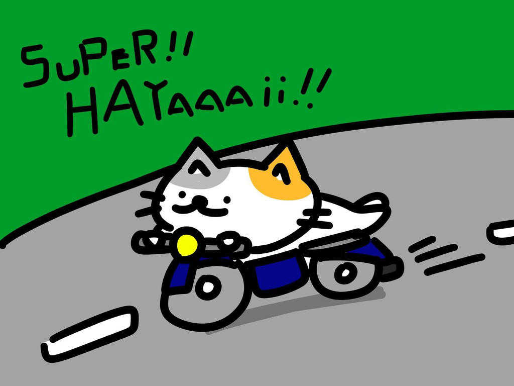 cat rider by kusaman on DeviantArt
