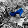 blue shoe