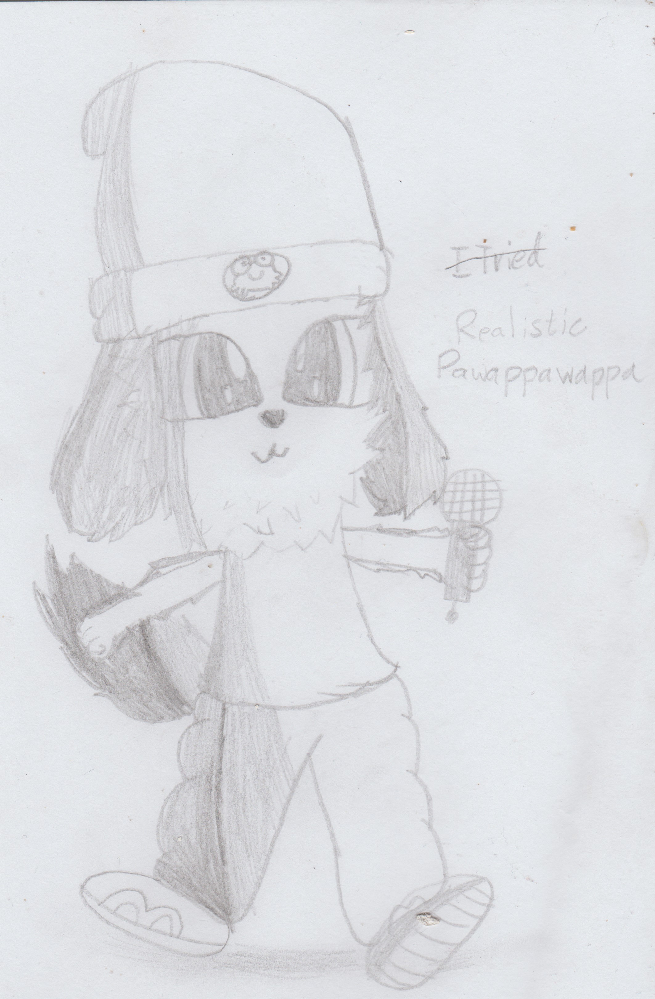 Parappa the Rapper Anime was dubbed in Mexico by Superdiegow on DeviantArt